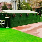 Lucky Homes